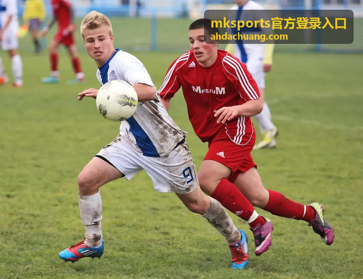 mksports官方登录入口 密码找回通道说明