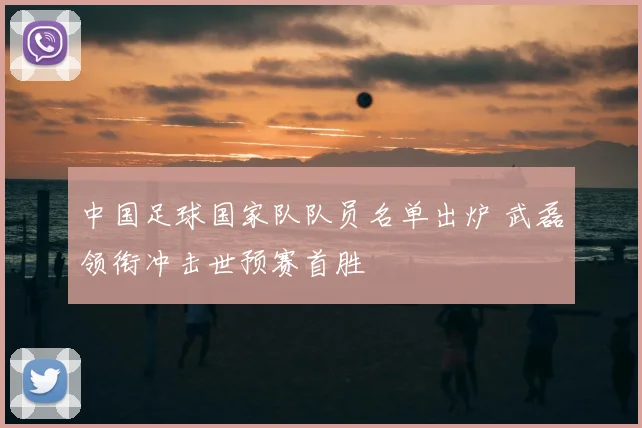 中国足球国家队队员名单出炉 武磊领衔冲击世预赛首胜