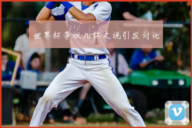 世界杯争议几杯之说引发讨论