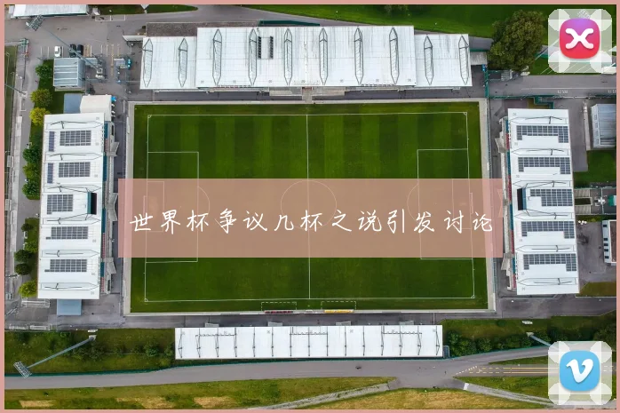 世界杯争议几杯之说引发讨论