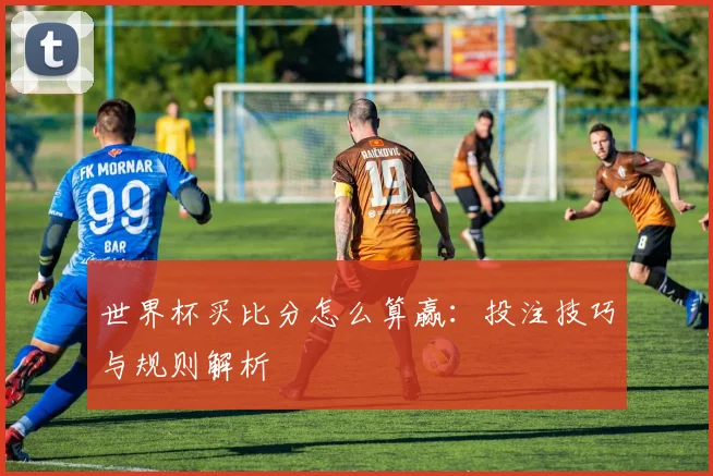 世界杯买比分怎么算赢：投注技巧与规则解析