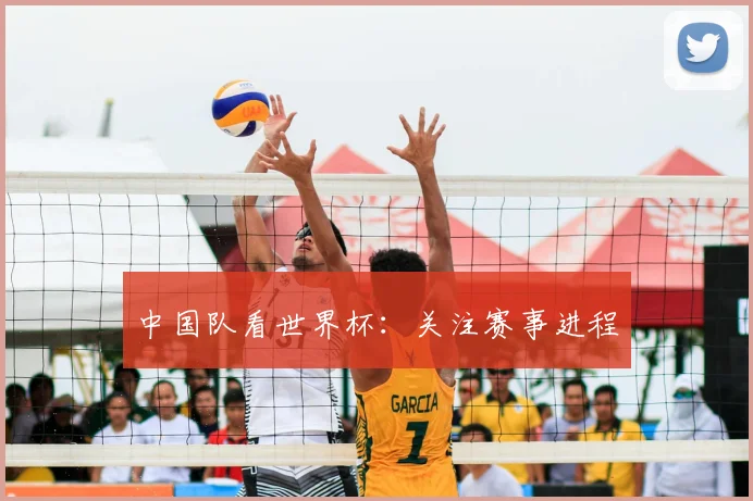 中国队看世界杯：关注赛事进程