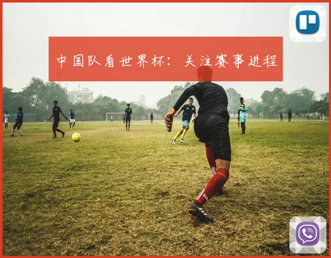 中国队看世界杯：关注赛事进程